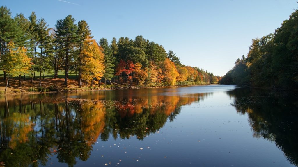 Fall colored trees surrounding lake